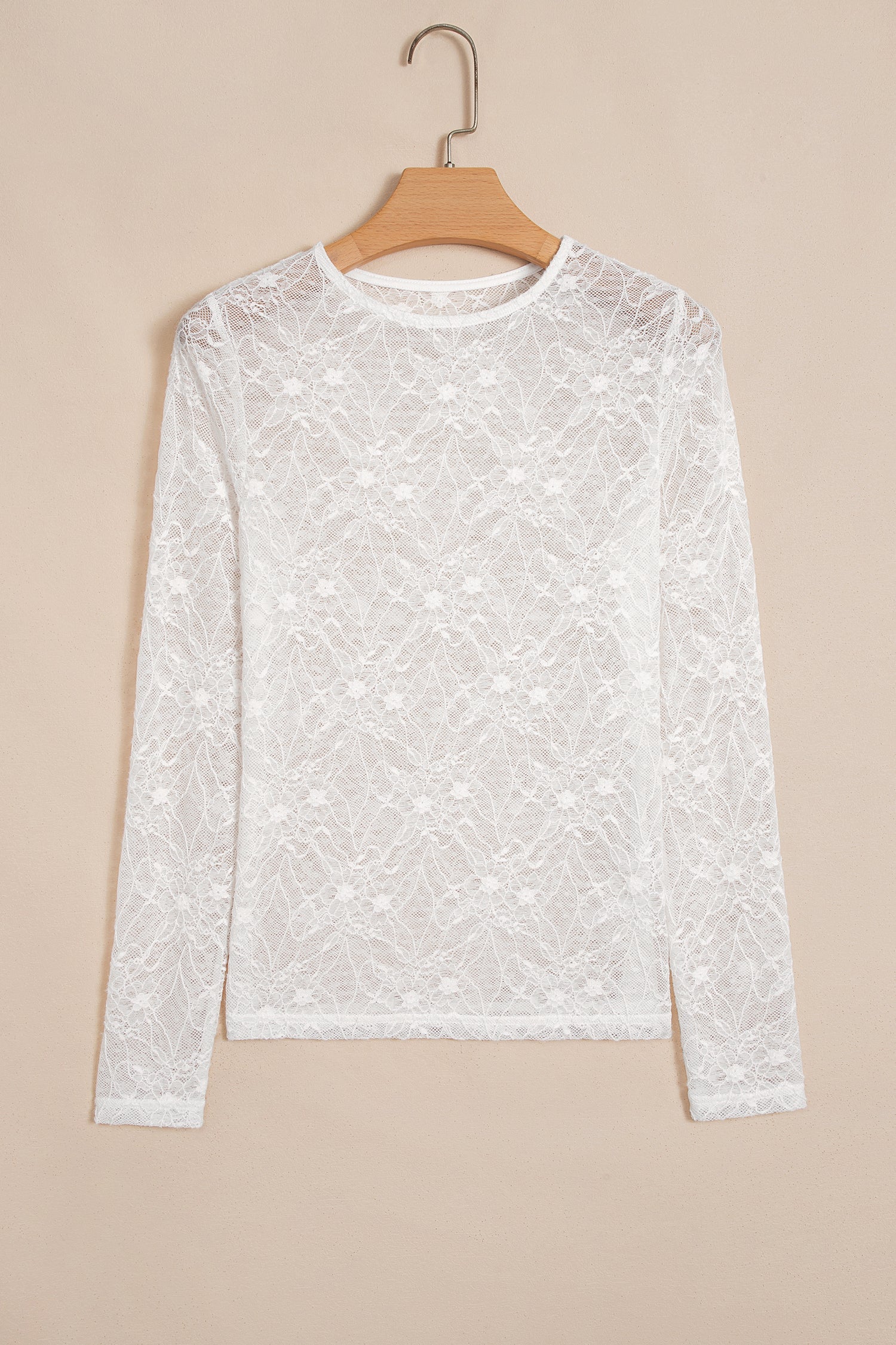 Sheer Lace Mesh Crew Neck Long Sleeve Top